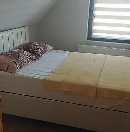 ホームステイ Dikcati